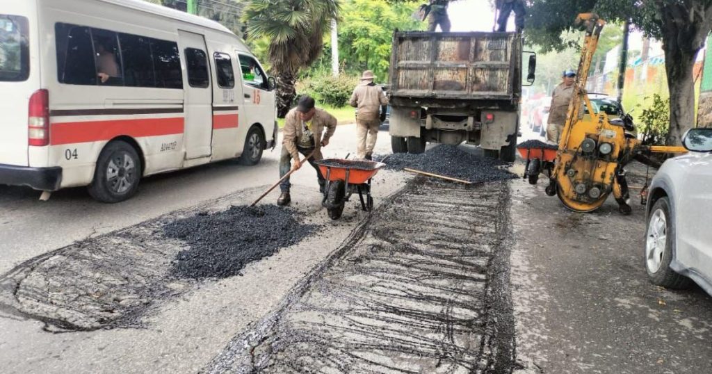 Atienden árbol colapsado y refuerzan mantenimiento vial en Cuernavaca tras lluvias