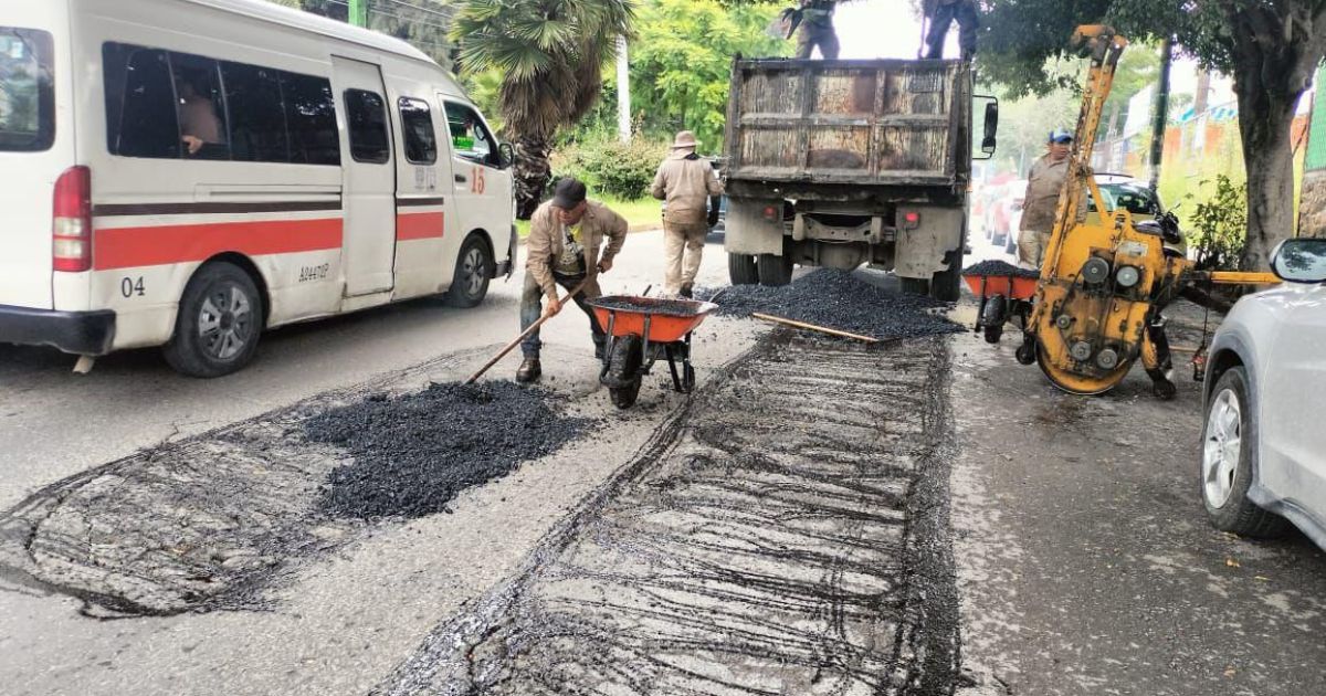 Atienden árbol colapsado y refuerzan mantenimiento vial en Cuernavaca tras lluvias