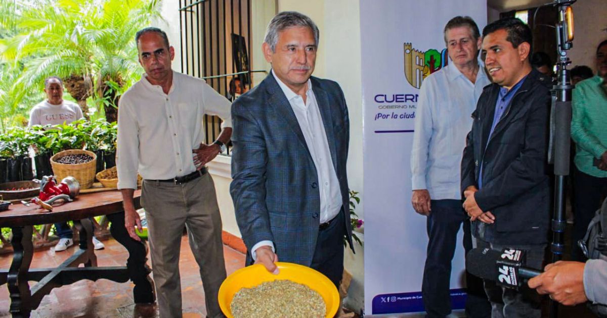 Cuernavaca impulsa su tradición cafetalera y busca posicionarse como ciudad productora