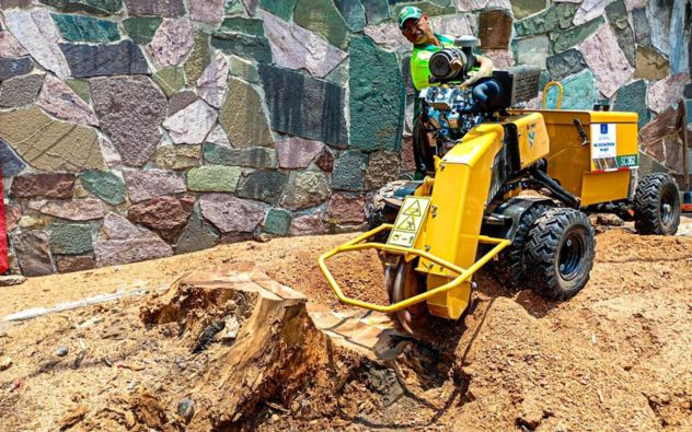 Calles más limpias y seguras: retiran restos de árboles en la Miraval de Cuernavaca