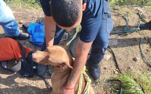 Rescatan a perrito en Cuernavaca