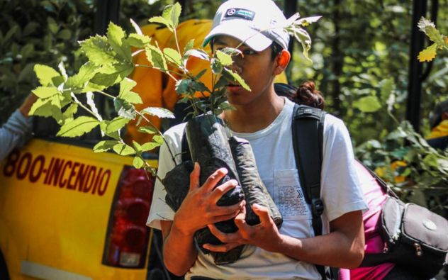 Bosque de Ahuatepec