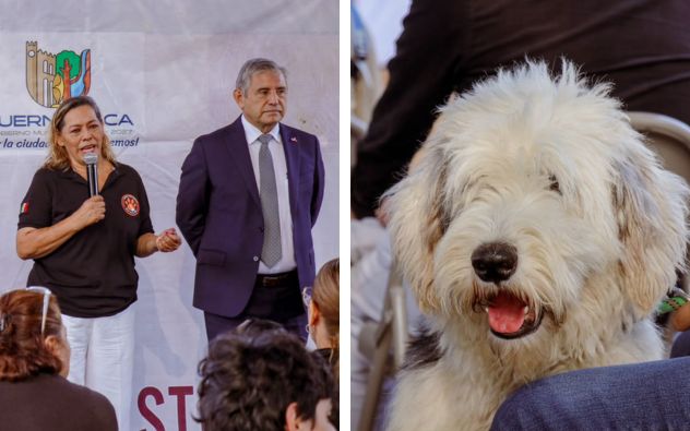 uernavaca impulsa el bienestar animal